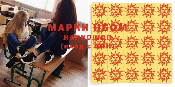индика Богданович