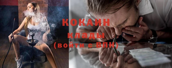 индика Богданович