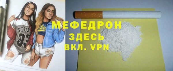 индика Богданович