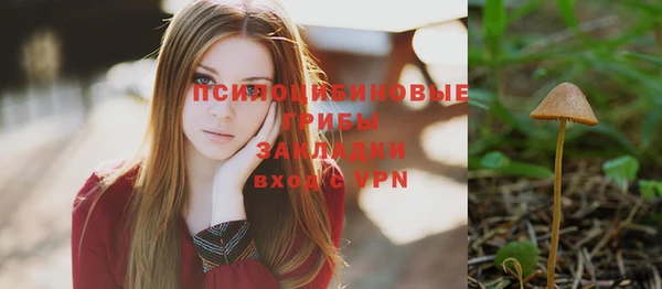 индика Богданович