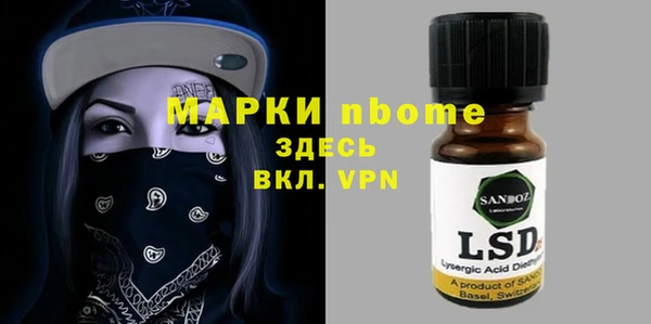 индика Богданович