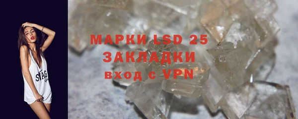 индика Богданович