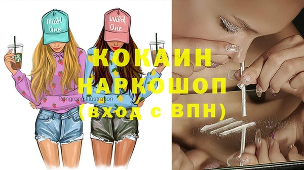 индика Богданович