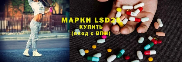 индика Богданович