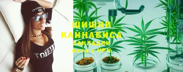 индика Богданович