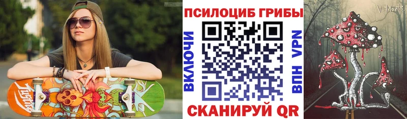 Галлюциногенные грибы Psilocybine cubensis  Яранск 